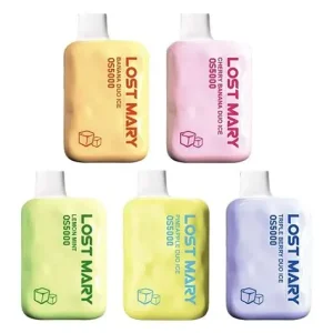 Lost Mary OS5000 Disposable Vape